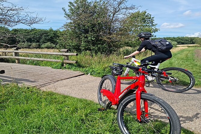 E-biking Northern Forgotten Giants' s Adventure - What the private guide adds