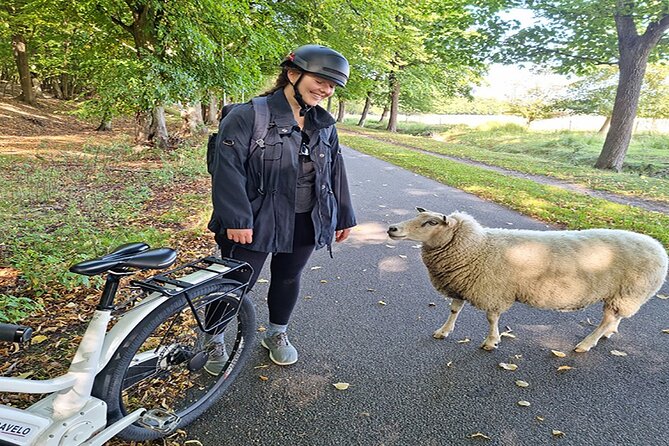 E-biking Northern Forgotten Giants' s Adventure - E-bikes, safety gear, and rider requirements