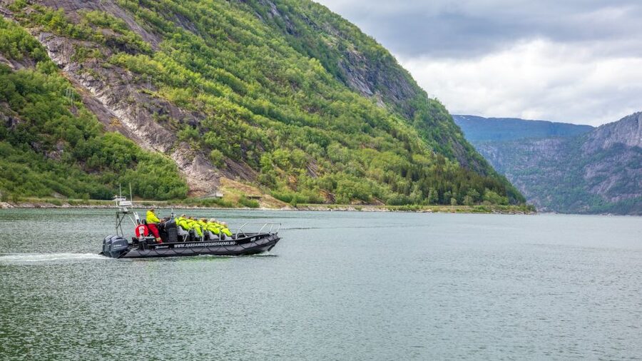 Eidfjord: 1-Hour Fjord RIB Tour - A fast start from Eidfjord Harbor