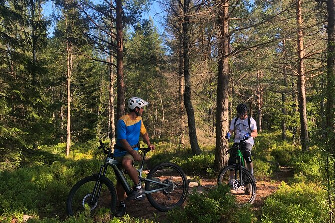 Electric Mountain Bike Rental in Oslo - Bygdøy Peninsula: museums with room to pedal