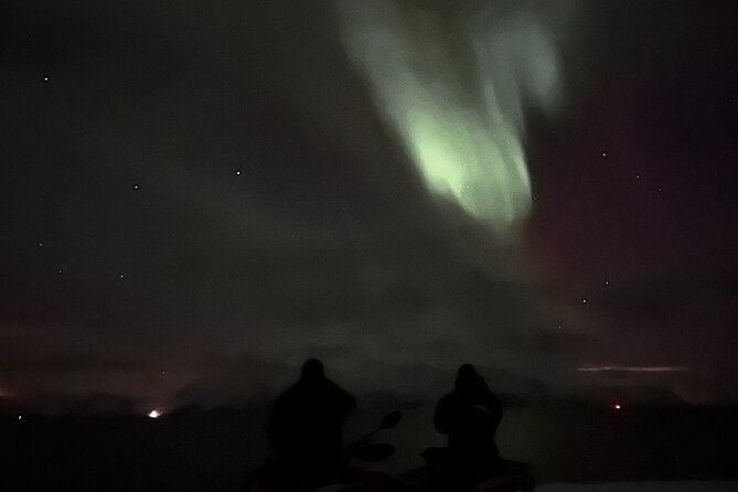 Evening Tour and Aurora Borealis Sightseeing in Norway by ATV - Is $257.24 per person good value?