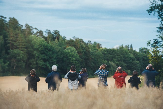 Evening Wildlife Safari Stockholm - At a glance: what makes this safari different