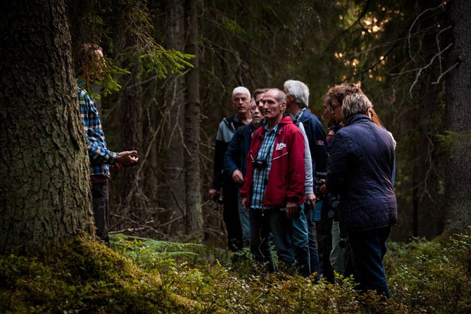 Evening Wildlife Safari Stockholm - Smart ways to prepare