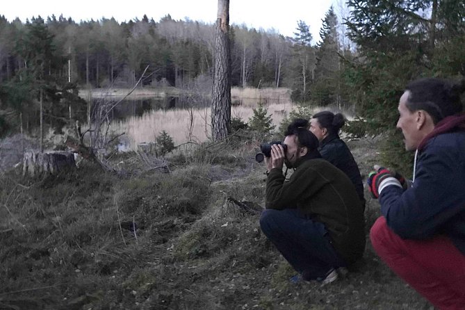 Evening Wildlife Safari with Campfire Dinner from Stockholm - Searching for animals after dusk