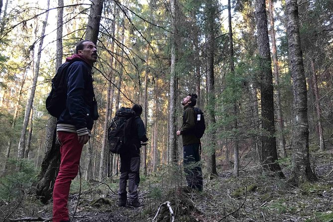 Evening Wildlife Safari with Campfire Dinner from Stockholm - Timing, transport, and practical comfort