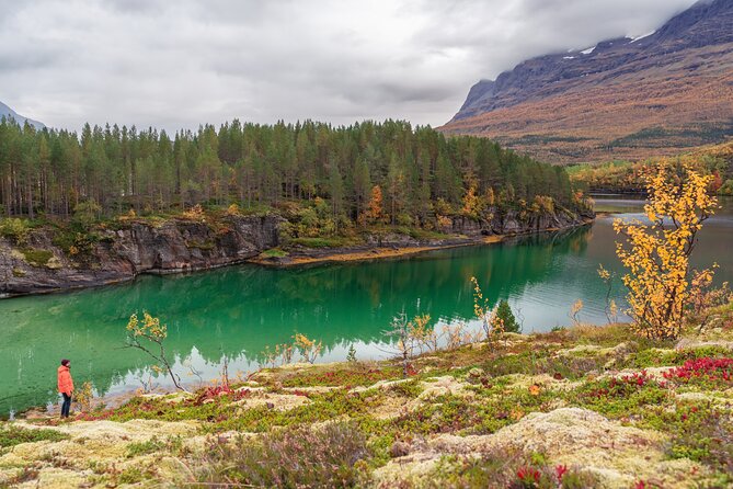 Explore the Norwegian Fjords and the Wildlife From Abisko - Jesús as your guide