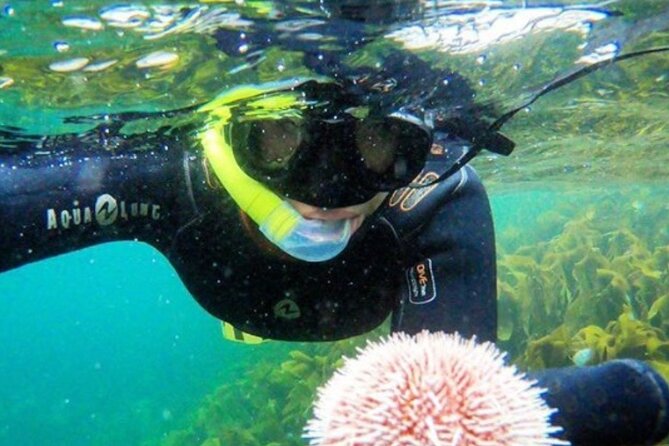 Family Snorkeling Tour - Key points to know before booking