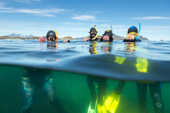 Family Snorkeling Tour - What the three-hour outing includes