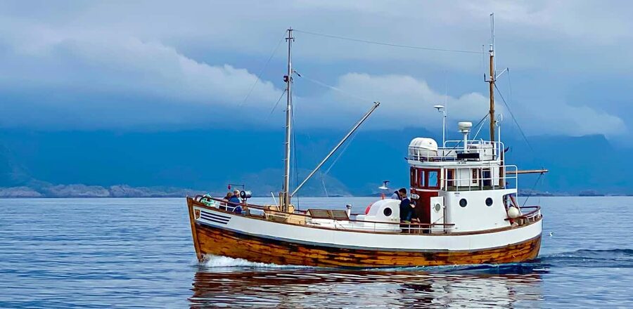Fishing trip from Henningsvær - Learning to fish in Lofoten waters