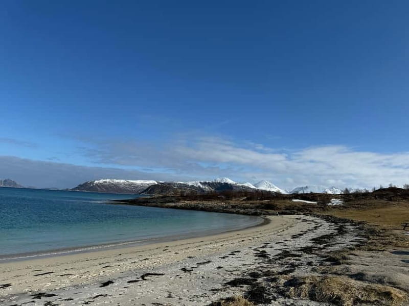 Fjord Foto Tour to Sommaroy (Roadtrip) - Winter, summer, and the best time for light