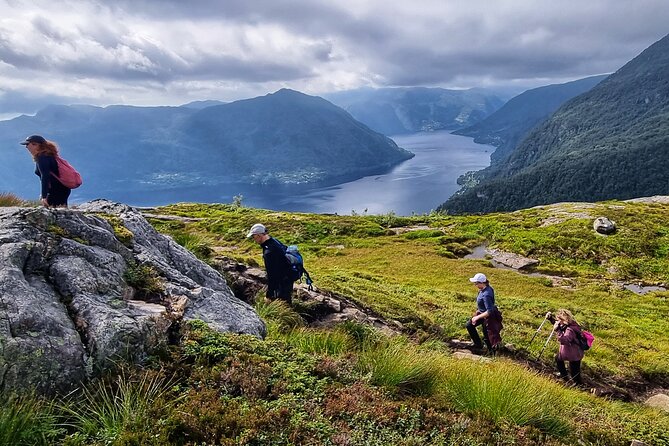 Fjord Hiking - Private tour - Choosing between three fjord summits