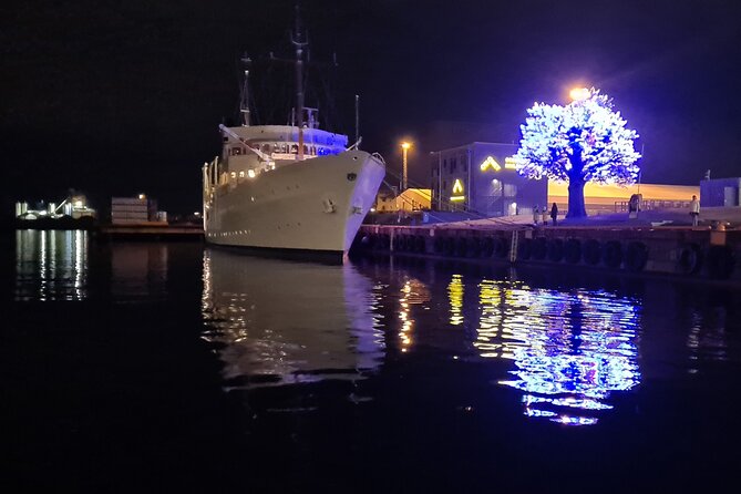 Fjord Houseboat Cruise in Oslo. 100 % electric. BYO - Captain Web and the choice between guidance and quiet