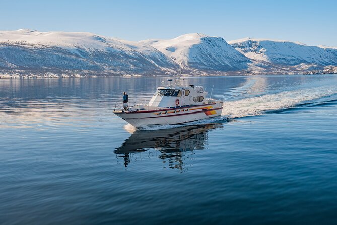 Fjord Safari in the Altafjord - Comfort that matters in Arctic weather