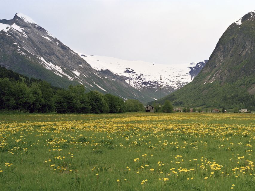Fjords: Private Trip with Train and Cruise Ride - Flåm and the Sognefjord Cruise