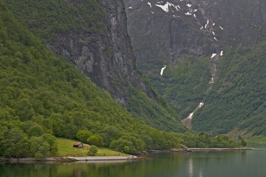 Fjords: Private Trip with Train and Cruise Ride - The Flåm Railway, Norway’s Famous Mountain Ride