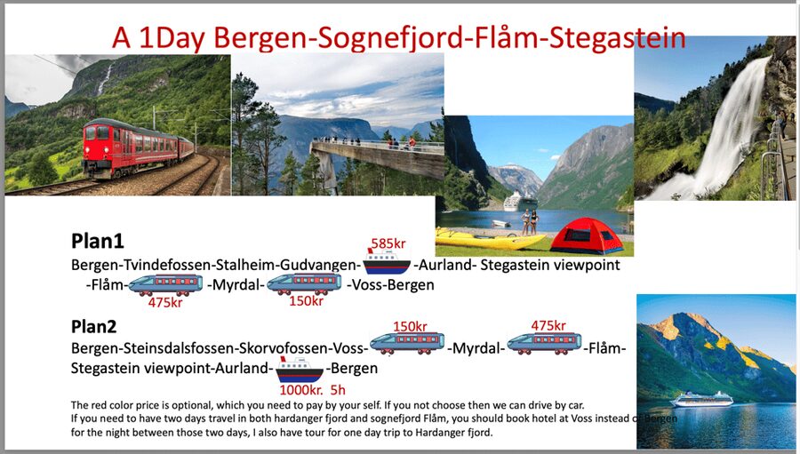 Flåm Flexible Tour with Stegastein, cruise and train include - Stegastein offers a great view with a real summer risk