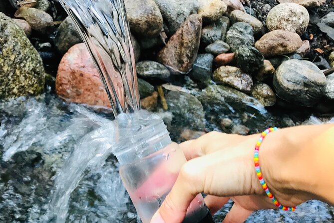 Forestbathing Slow Walking and Healing Spring Water, Stockholm - Leaving Stockholm for Nackareservatet