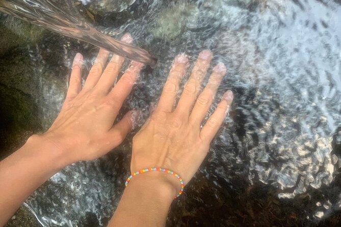 Forestbathing Slow Walking and Healing Spring Water, Stockholm - Meditation, walking exercises, and optional swimming
