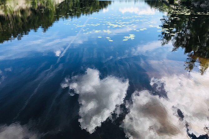 Forestbathing Slow Walking and Healing Spring Water, Stockholm - Who will enjoy this forest escape