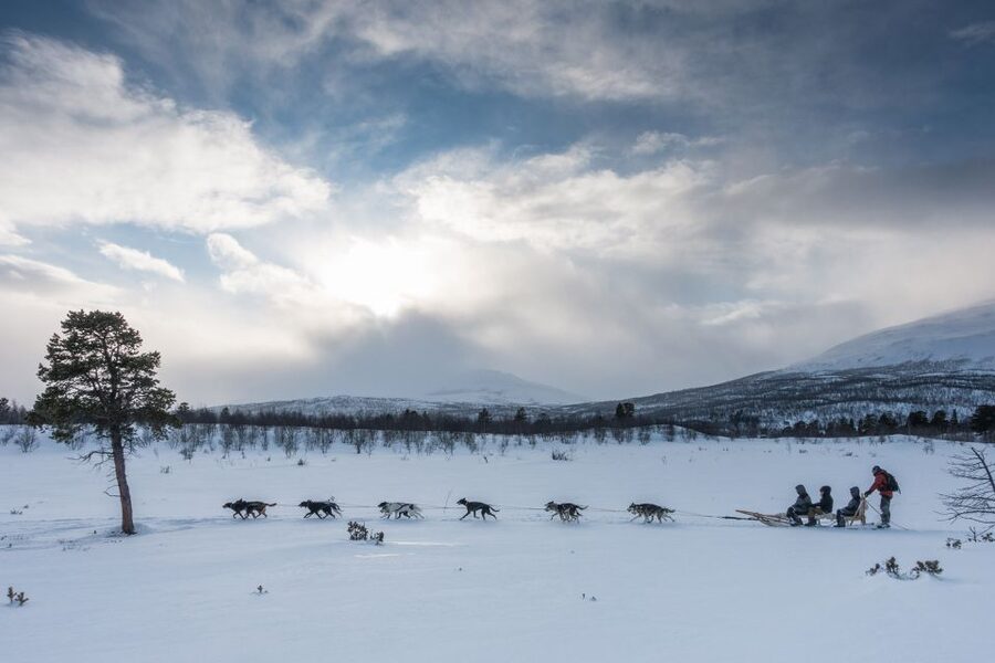 From Abisko: Dog Sledding Excursion to Kiruna with Fika - Key points to know before booking