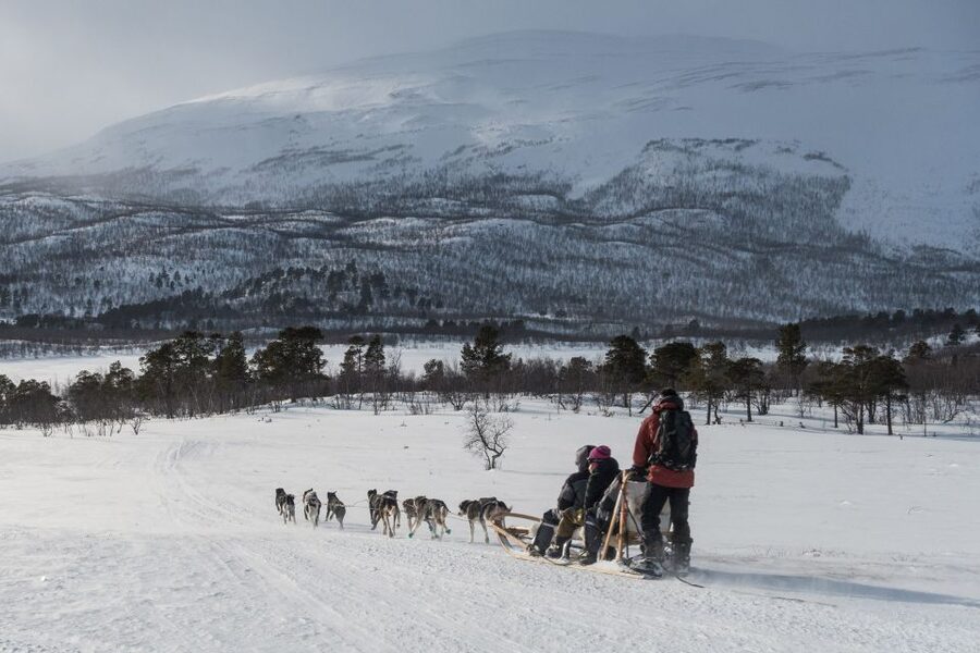 From Abisko: Dog Sledding Excursion to Kiruna with Fika - Getting ready at the Arctic wilderness camp