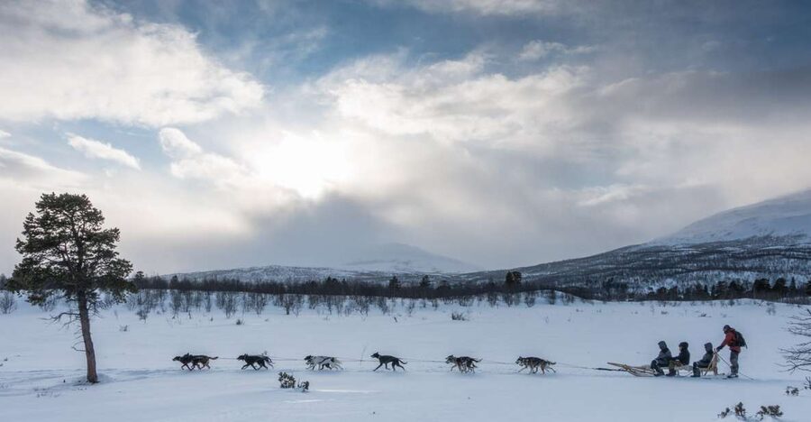 From Abisko: Dog Sledding Excursion to Kiruna with Fika - The 10 to 12 kilometer sled circuit