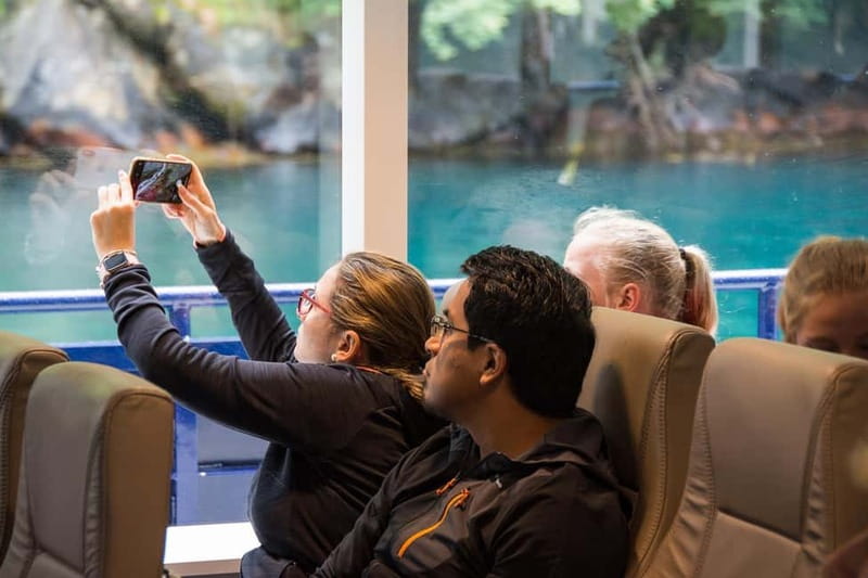 From Ålesund: Round Trip Fjord Cruise to Geirangerfjord - Who should take this Ålesund fjord cruise?