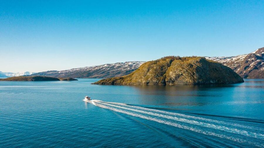 From Alta: Adventure Cruise in Alta Fjord - Key points to know before you book