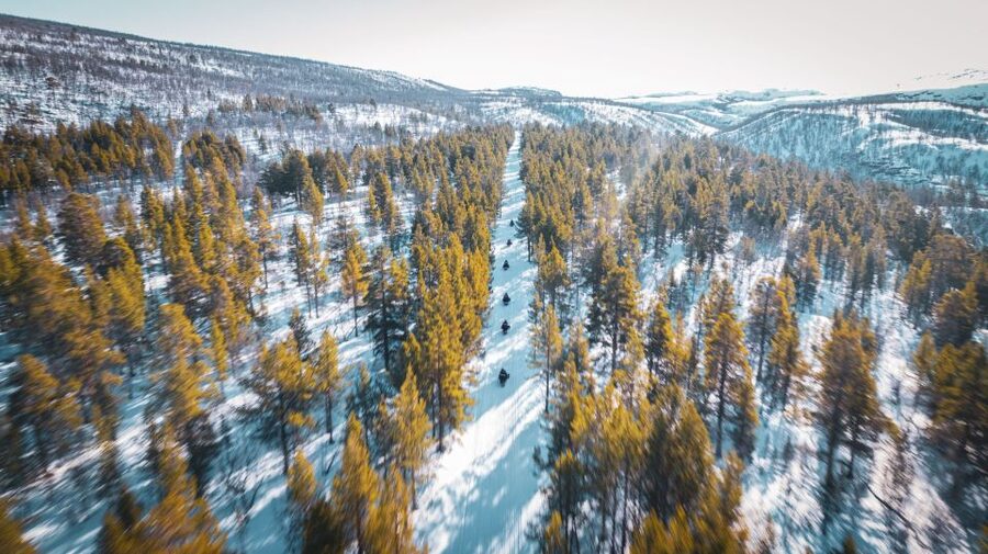 From Alta: Daytime Snowmobile Adventure - What the guide adds to the ride