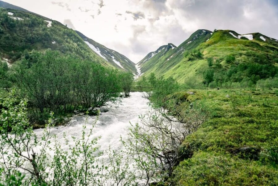 From Alta: Experience Seiland National Park - Mountains, Meadows, Glaciers, and Birds of Prey