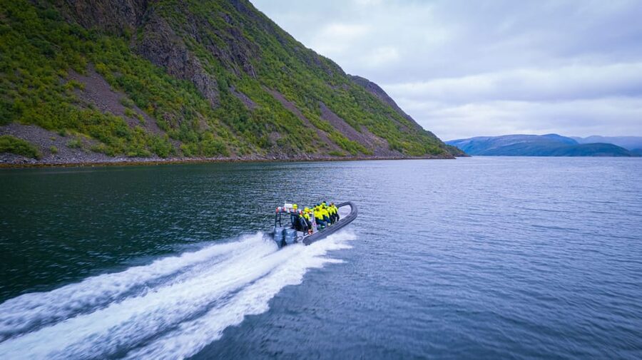 From Alta: Experience Seiland National Park - Who Will Enjoy This Trip Most?