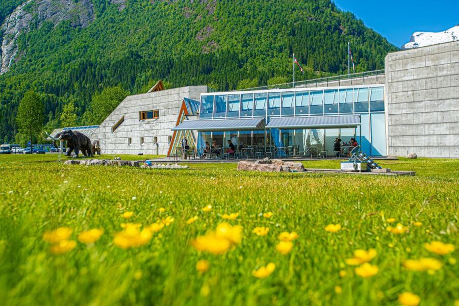 From Balestrand: Guided Fjord & Glacier Tour to Fjærland - Small practical tips for a smoother outing