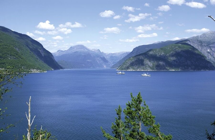 From Bergen: Private Trip to Hardangerfjord - Key points to know before you book