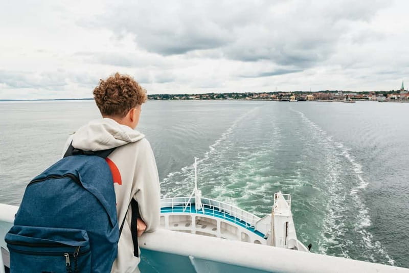 From Copenhagen: Lund and Malmö 2-Country Tour - Why this Copenhagen day trip works