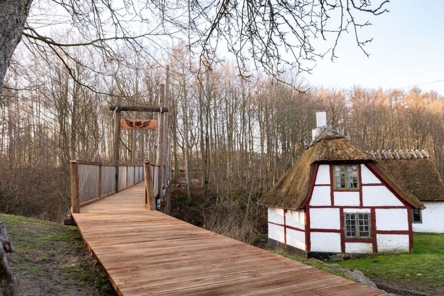 From Copenhagen: Round-Trip to Møns Klint and Forest Tower - How the schedule feels over eight hours