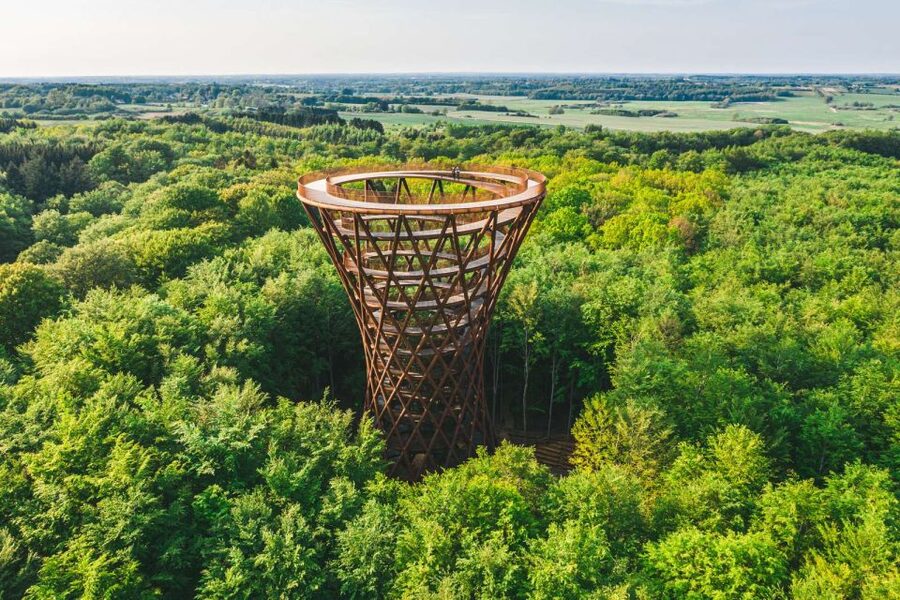From Copenhagen: Round-Trip to Møns Klint and Forest Tower - Small details that can improve your day