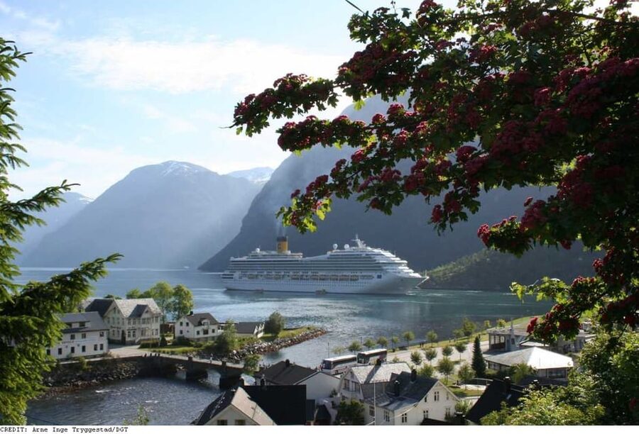 From Hellesylt: The Best of Geiranger Shore Excursion - Key points to know before you book