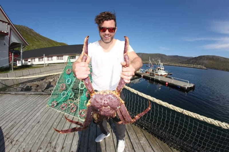 From Honningsvåg: North Cape and King Crabs Tour - Key points to know before booking