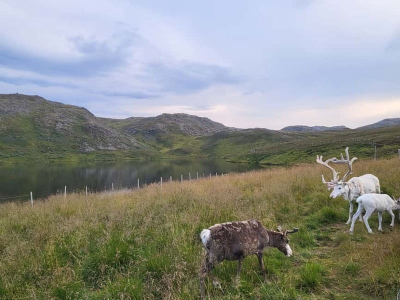 From Honningsvåg: North Cape and King Crabs Tour - A fishing facility near the harbour