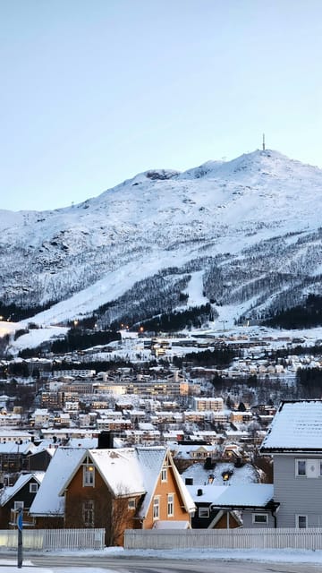 From Kiruna: Narvik City and Fjord Day Trip - Why the drive from Kiruna matters