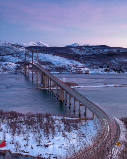 From Kiruna: Narvik City and Fjord Day Trip - Winter driving, wildlife, and weather