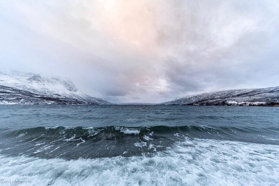 From Kiruna: Narvik City and Fjord Day Trip - Who should book this day trip?