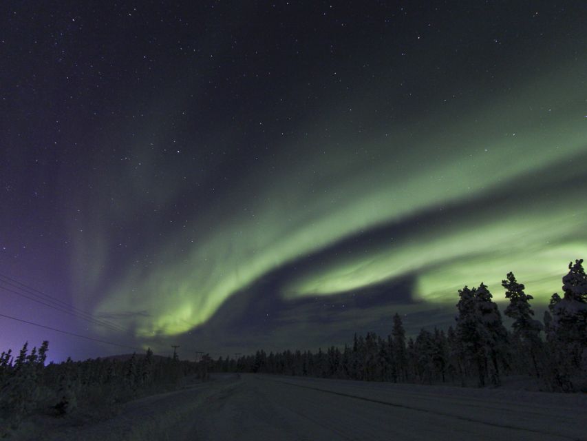 From Kiruna: Northern Lights Guided Husky Sledding Adventure - The ride begins in Kiruna’s winter darkness
