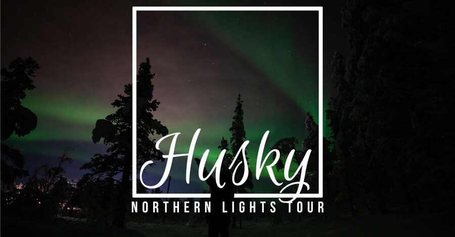 From Kiruna: Northern Lights Guided Husky Sledding Adventure - Steering a sled through forests and frozen lakes
