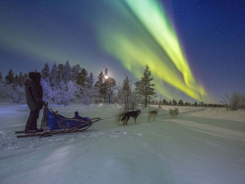 From Kiruna: Northern Lights Guided Husky Sledding Adventure - Fire, fika, and a practical finish