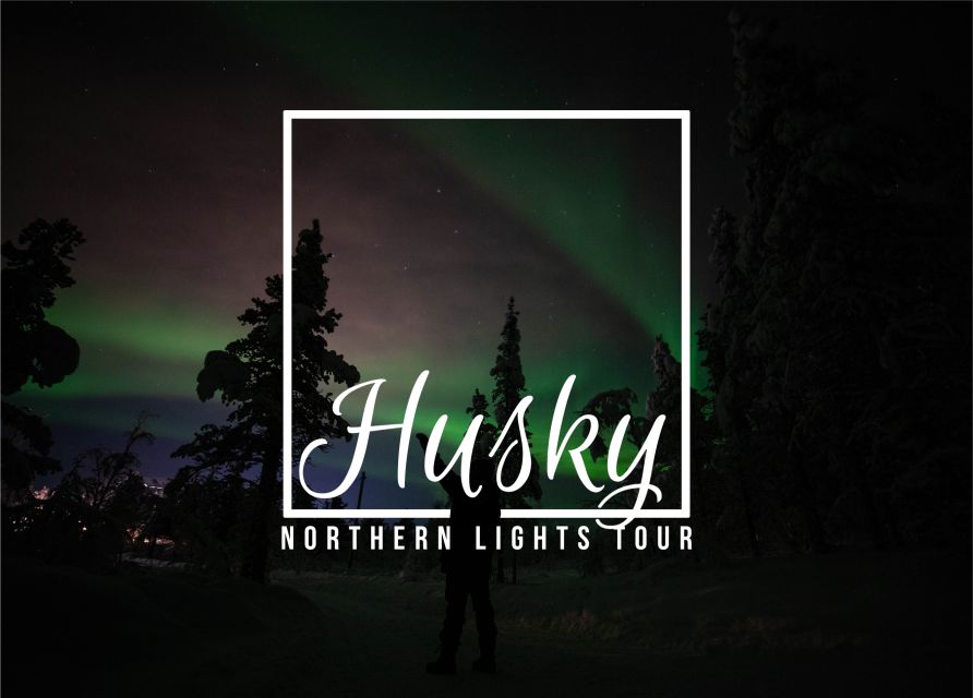 From Kiruna: Northern Lights Guided Husky Sledding Adventure - Kalixforsbron: meet the huskies before the ride