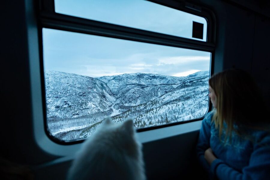 From Narvik: Roundtrip Arctic Train Ride on Ofoten Railway - Mountains, waterfalls, and changing weather