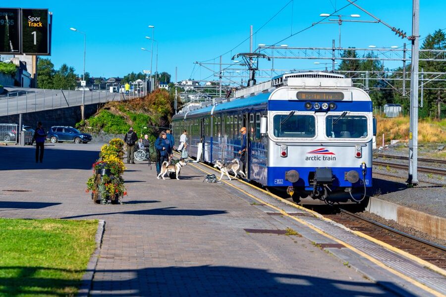 From Narvik: Roundtrip Arctic Train Ride on Ofoten Railway - Getting from Narvik’s port to the station