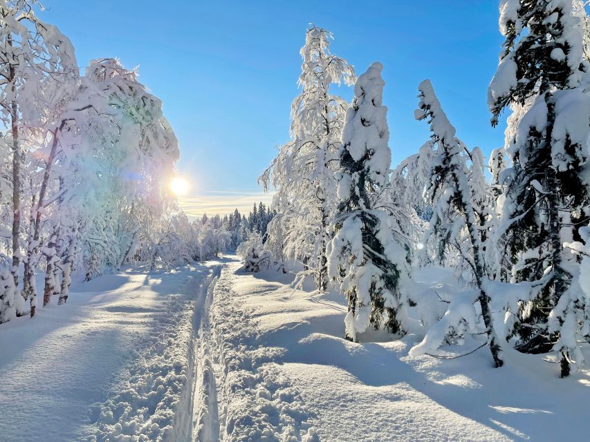 From Oslo: Oslomarka Forest Guided Snowshoeing Tour - What makes this Oslo snowshoe tour worth your morning