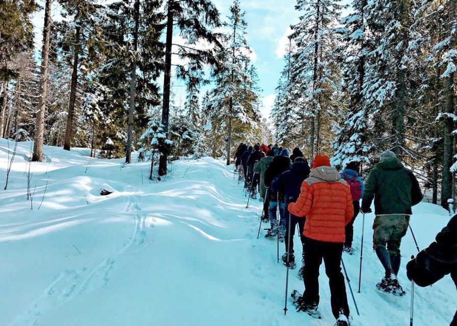 From Oslo: Oslomarka Forest Guided Snowshoeing Tour - From Backstube Opera to Frognerseteren